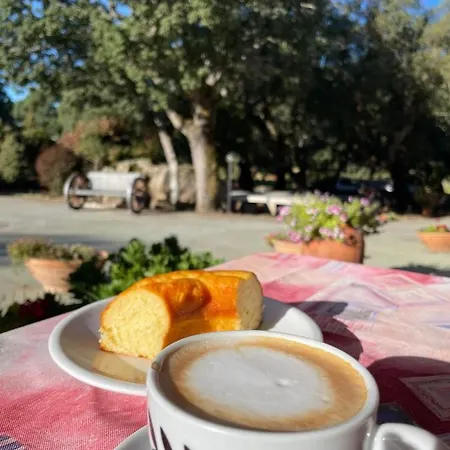 Agriturismo Santa Reparata Buddusò
