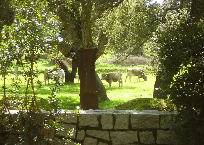 Agriturismo Santa Reparata