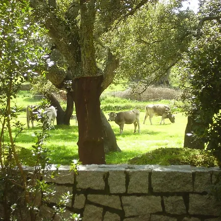 Agriturismo Santa Reparata
